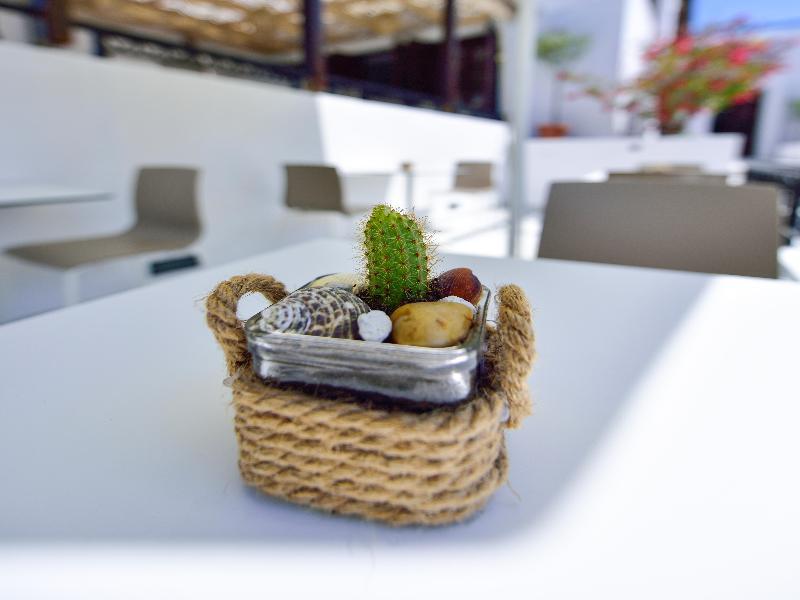 Kalidon Beach Hotel กอกการี ภายนอก รูปภาพ